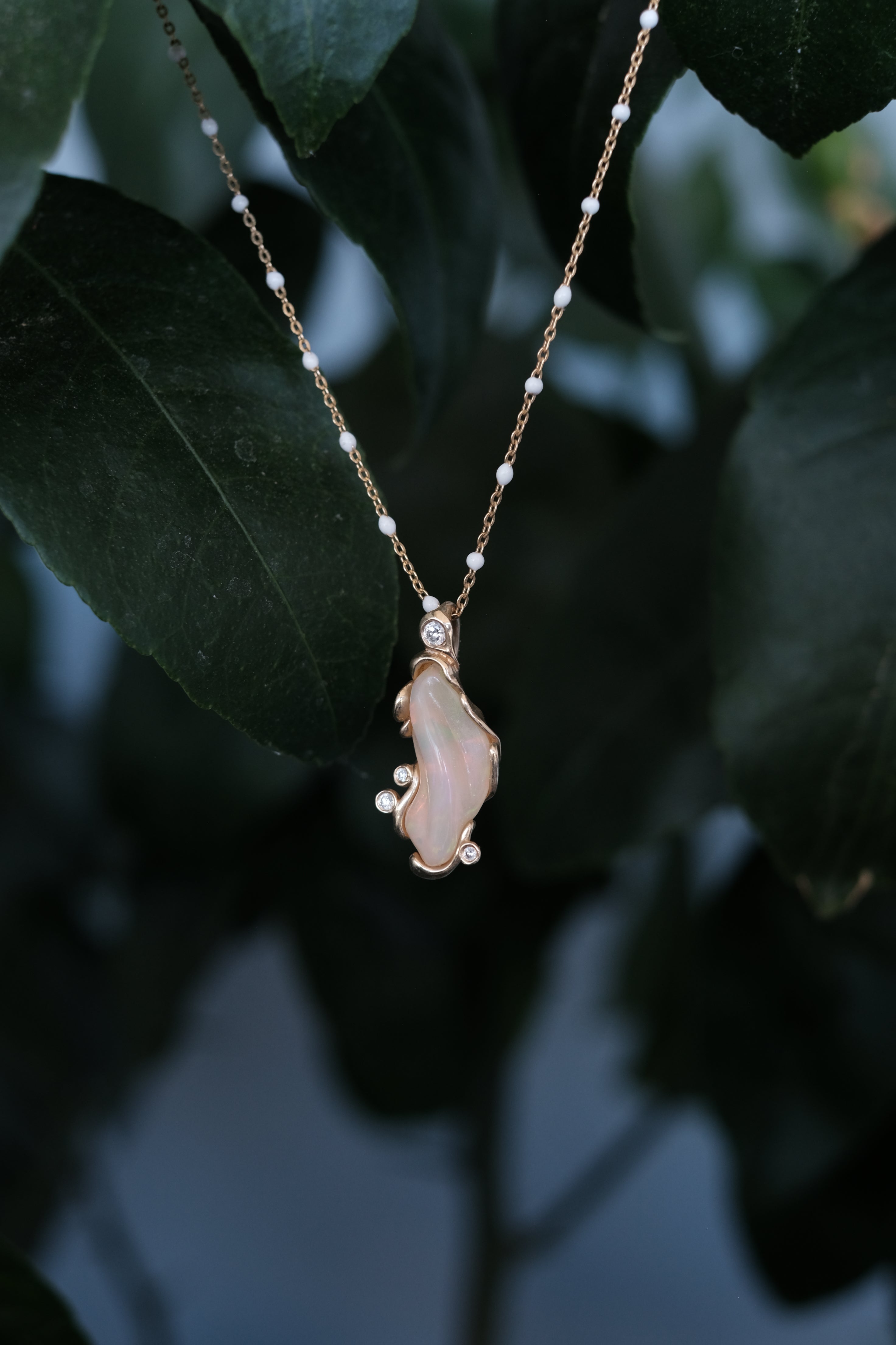 Shop Cosmos