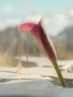 Cosmos Stringers